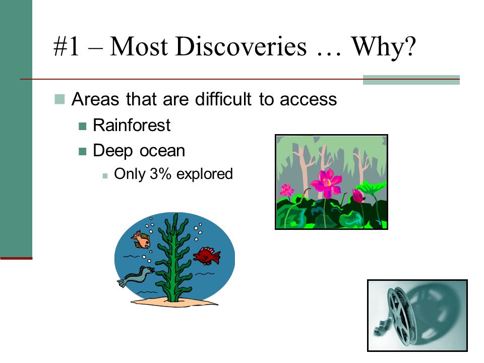 #1 – Most Discoveries … Why.