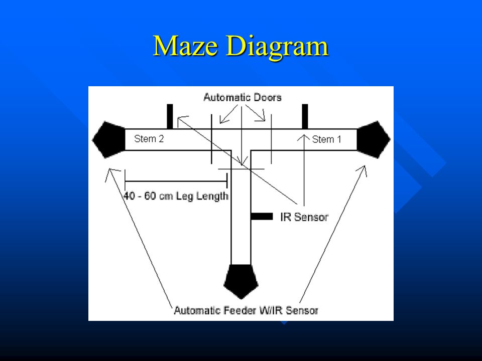 Maze Diagram