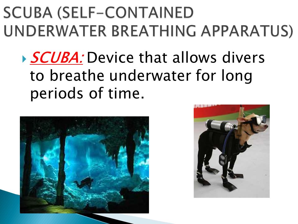  SCUBA: Device that allows divers to breathe underwater for long periods of time.