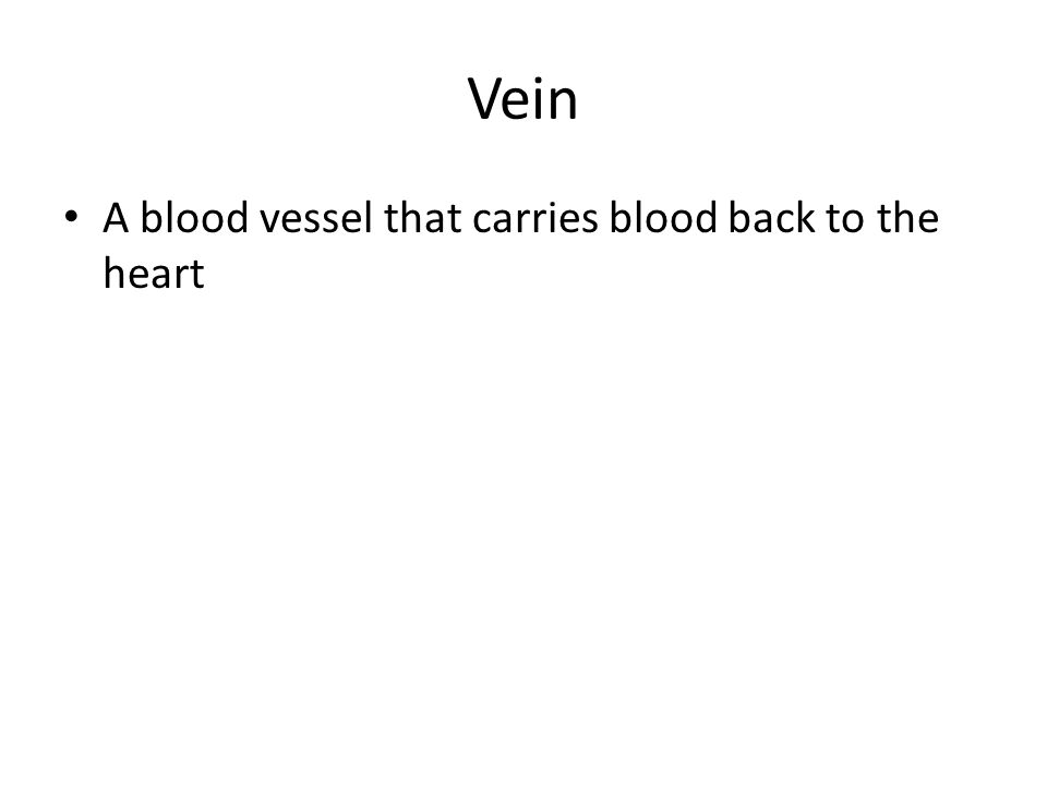 Vein A blood vessel that carries blood back to the heart