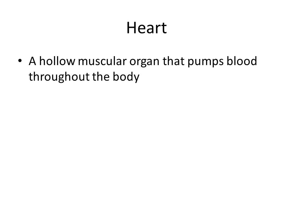 Heart A hollow muscular organ that pumps blood throughout the body