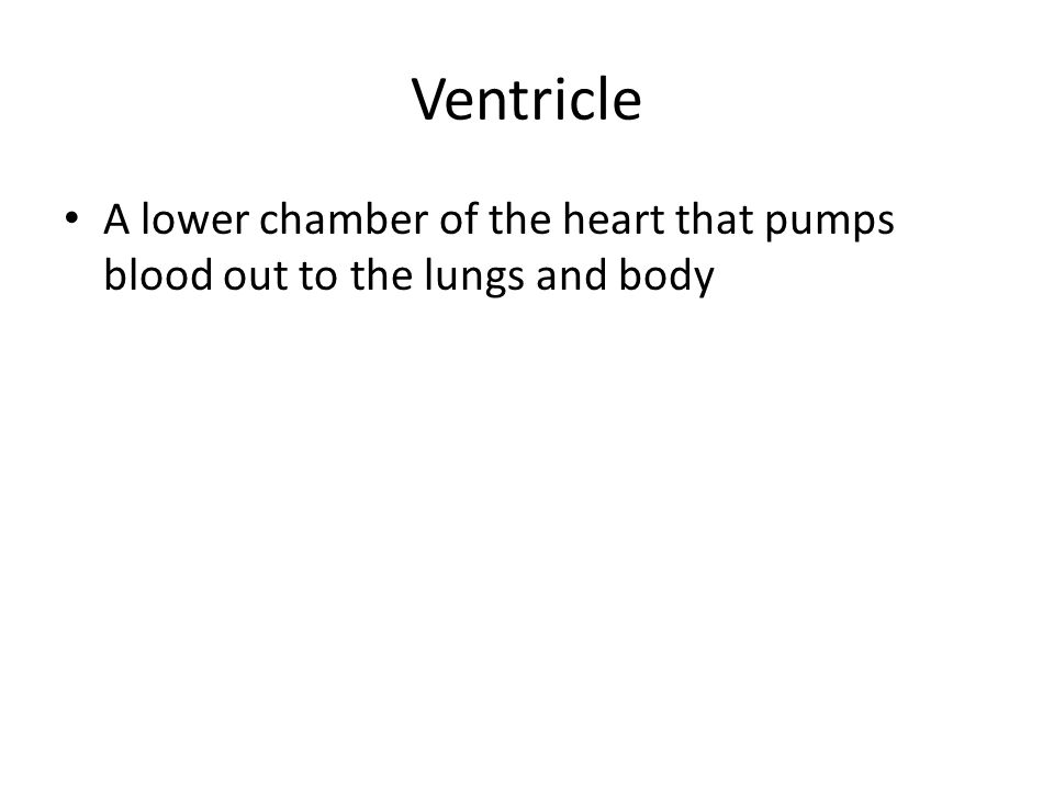 Ventricle A lower chamber of the heart that pumps blood out to the lungs and body