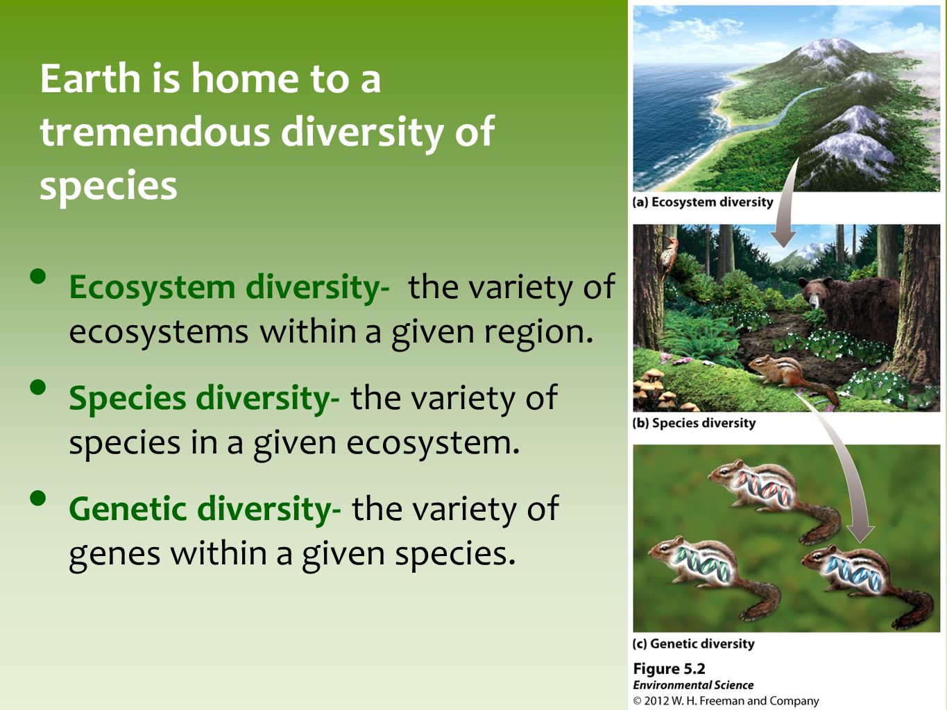 Chapter 5 Evolution of Biodiversity. Earth is home to a tremendous ...