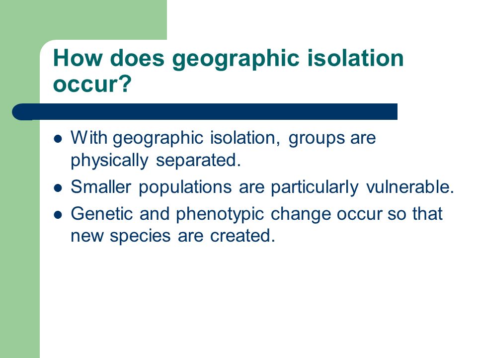 How does geographic isolation occur. With geographic isolation, groups are physically separated.