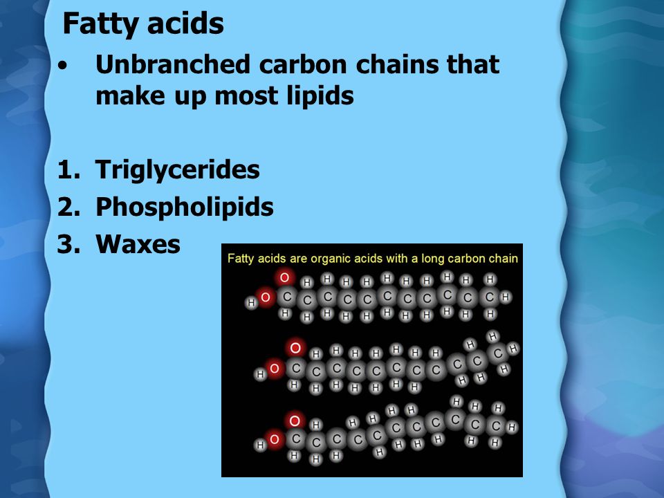 Fatty acids Unbranched carbon chains that make up most lipids 1.Triglycerides 2.Phospholipids 3.Waxes