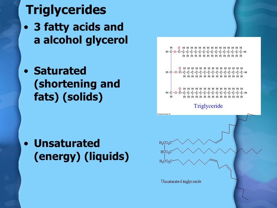 Triglycerides 3 fatty acids and a alcohol glycerol Saturated (shortening and fats) (solids) Unsaturated (energy) (liquids)