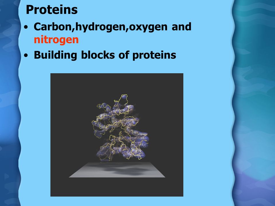Proteins Carbon,hydrogen,oxygen and nitrogen Building blocks of proteins