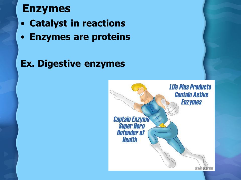 Enzymes Catalyst in reactions Enzymes are proteins Ex. Digestive enzymes