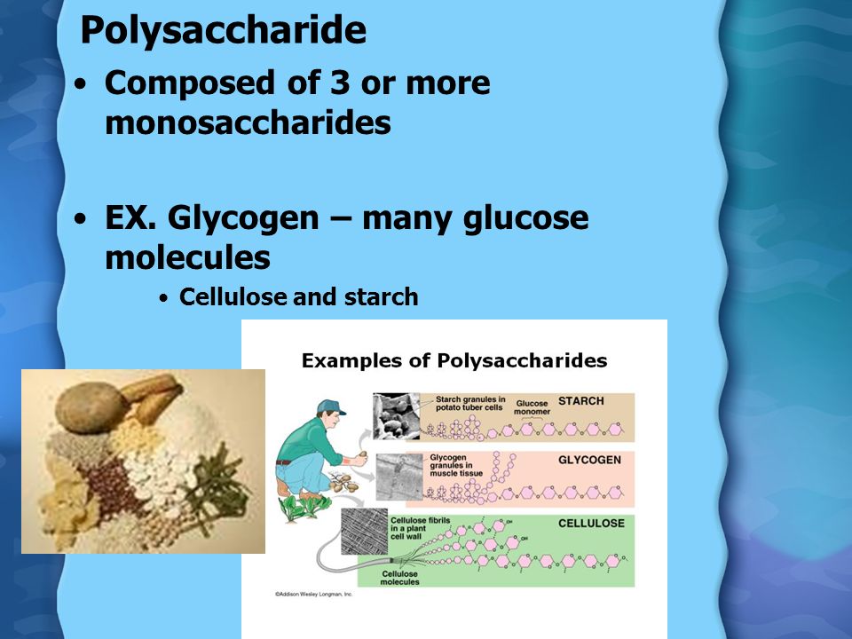 Polysaccharide Composed of 3 or more monosaccharides EX.