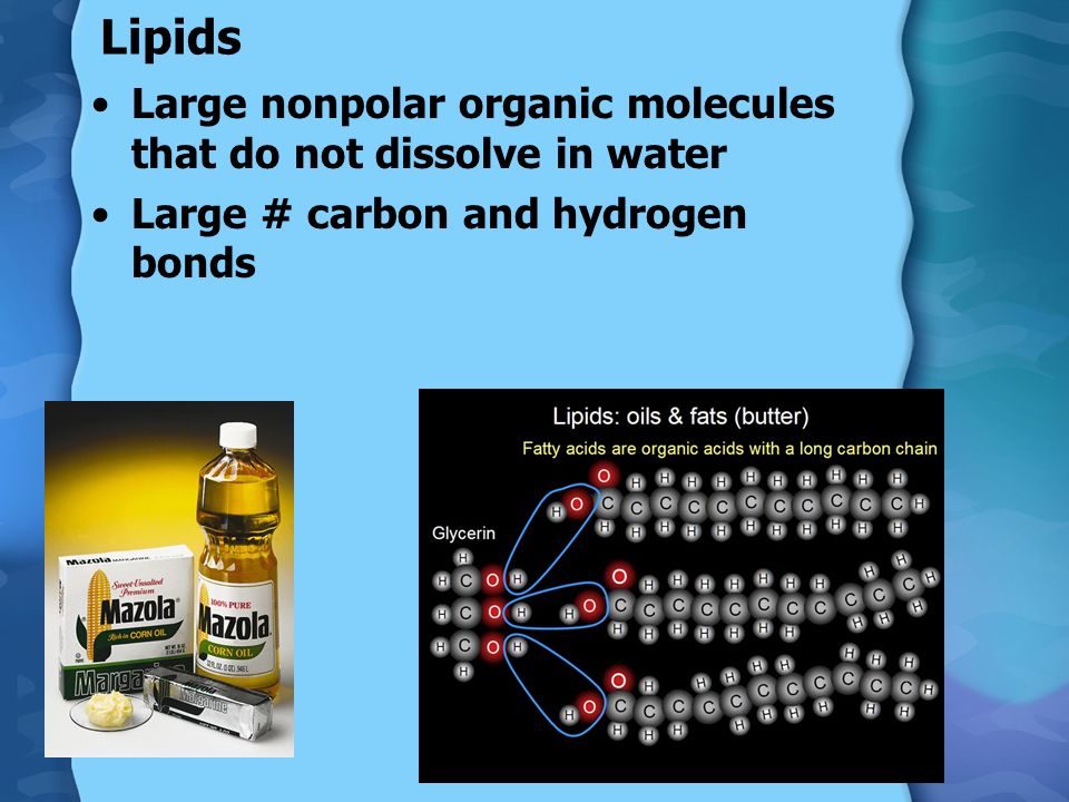 Lipids Large nonpolar organic molecules that do not dissolve in water Large # carbon and hydrogen bonds