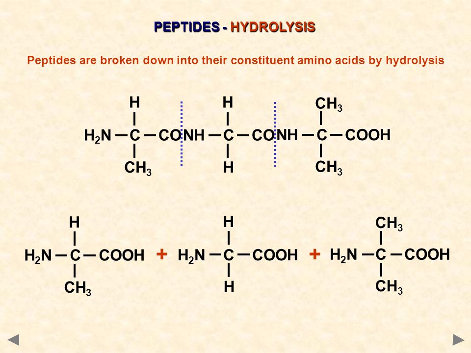 PEPTIDES - HYDROLYSIS Peptides are broken down into their constituent amino acids by hydrolysis H 2 N C CO CH 3 H NH C CO H H NH C COOH CH 3 H H 2 N C COOH H H CH 3 H 2 N C COOH ++