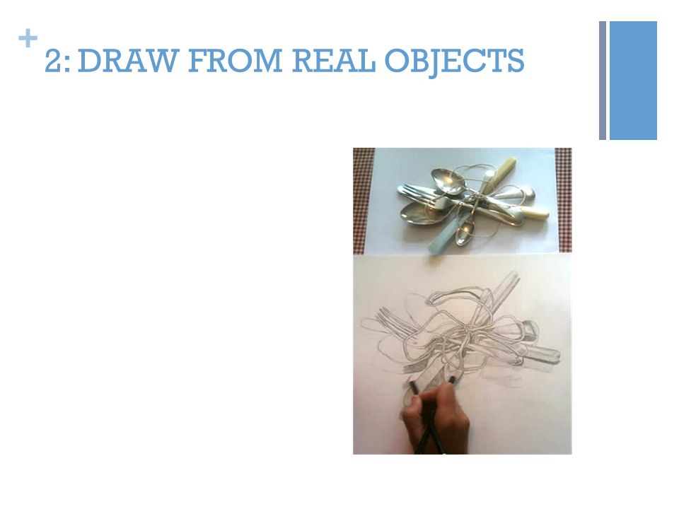 + 2: DRAW FROM REAL OBJECTS