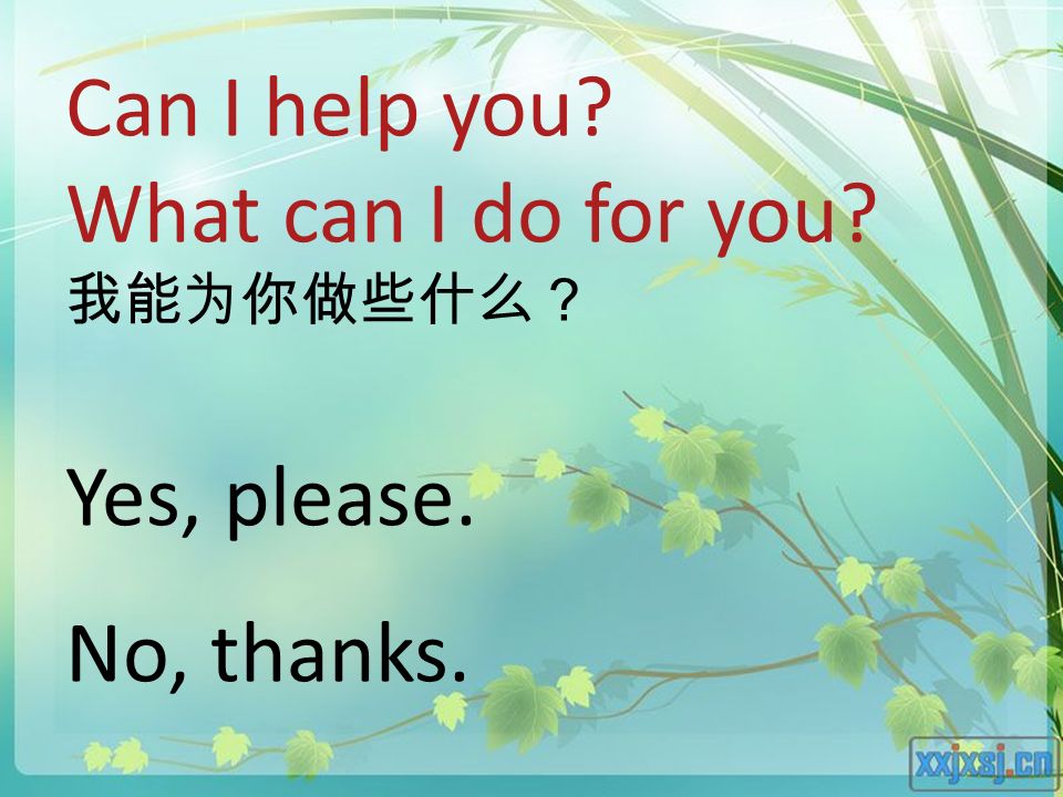 Can I help you What can I do for you 我能为你做些什么？ Yes, please. No, thanks.