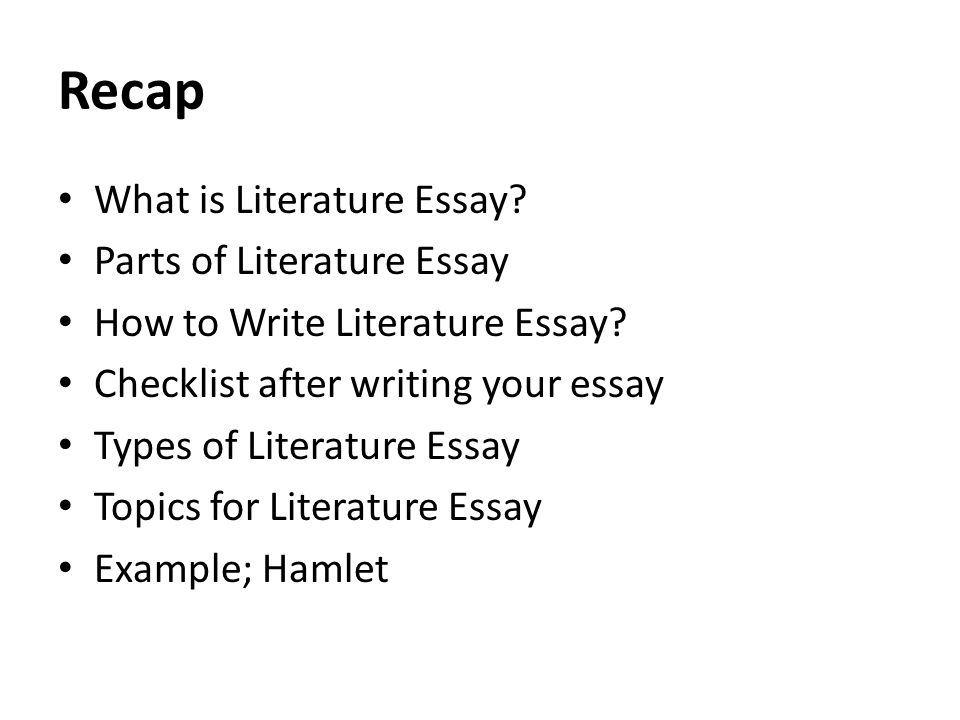 Arguments Against Abortion Essay Underage Drinking Essays also The Secret Life Of Bees Essay The Essay Exam Lecture Recap What Is Literature Essay Aung San Suu Kyi Short Essay