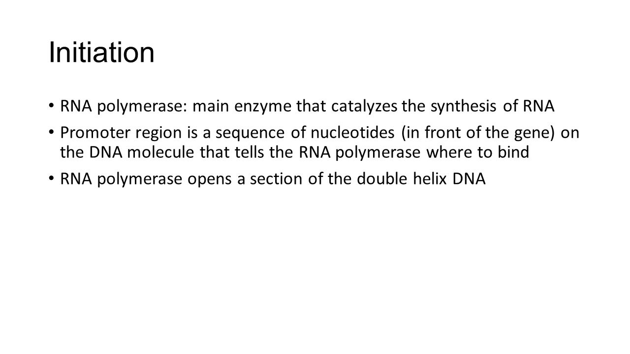Initiation RNA polymerase: main enzyme that catalyzes the synthesis of RNA Promoter region is a sequence of nucleotides (in front of the gene) on the DNA molecule that tells the RNA polymerase where to bind RNA polymerase opens a section of the double helix DNA