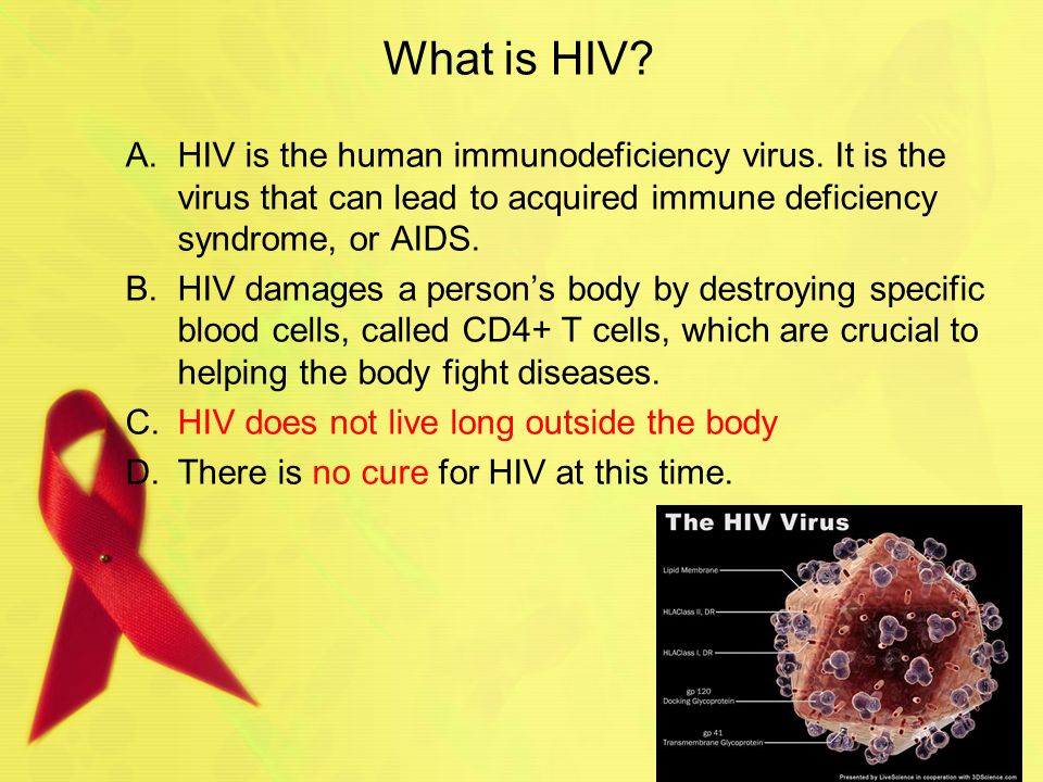 Prevention of Diseases HIV / AIDS. What is HIV? A.HIV is the human  immunodeficiency virus. It is the virus that can lead to acquired immune  deficiency. - ppt download