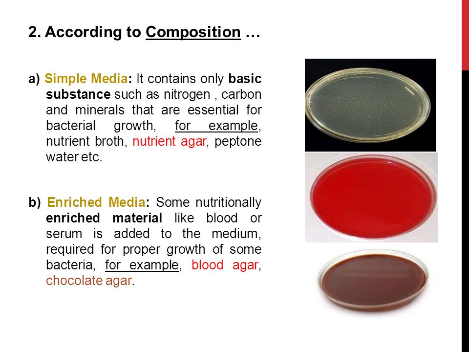 Microbiology / Lab. 8. o Culture (Growth) Media I.What is a medium (plural  media)? II.What is culture medium? III.What is meant by Inoculation of Media?  - ppt download