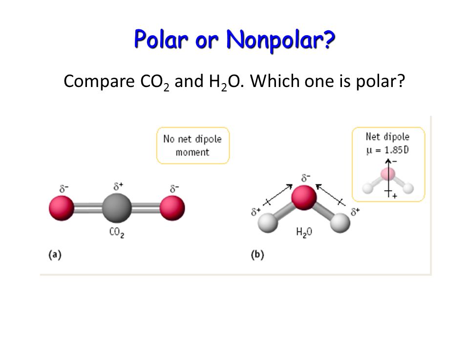 Polar or Nonpolar Compare CO 2 and H 2 O. Which one is polar.