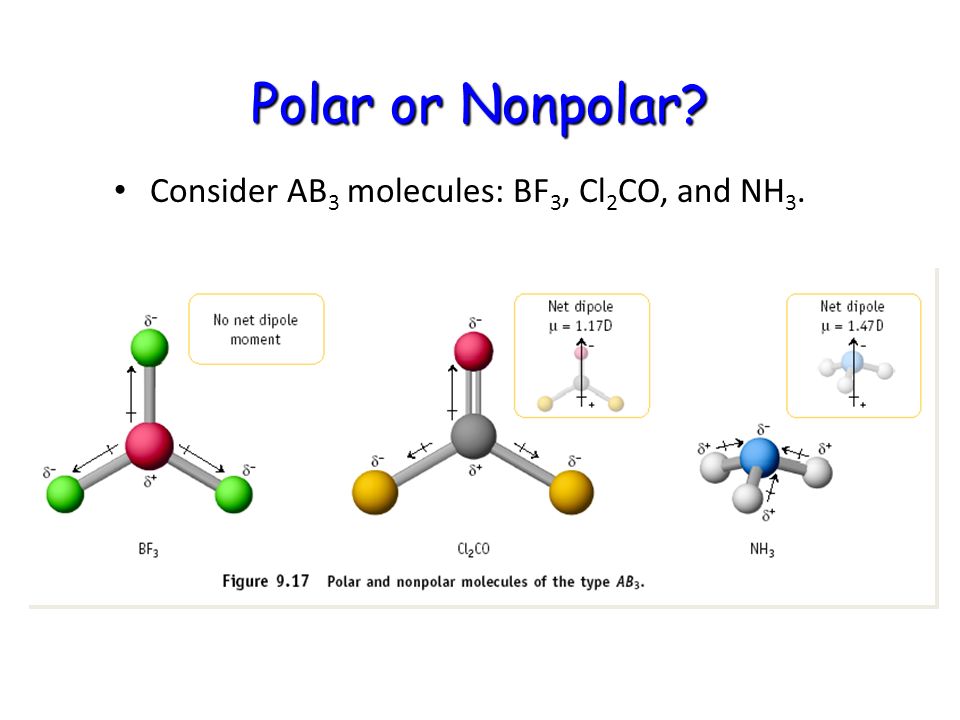 Polar or Nonpolar Consider AB 3 molecules: BF 3, Cl 2 CO, and NH 3. 
