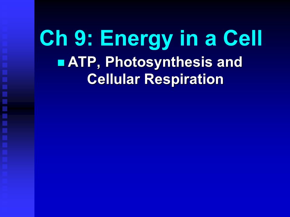Ch 9 Energy In A Cell Atp Photosynthesis And Cellular Respiration 2 Ch 9 Energy In A Cell Atp Photosynthesis And Cellular Respiration