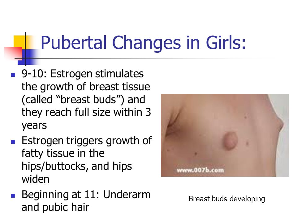 pictures of breast buds Pictures of breast buds