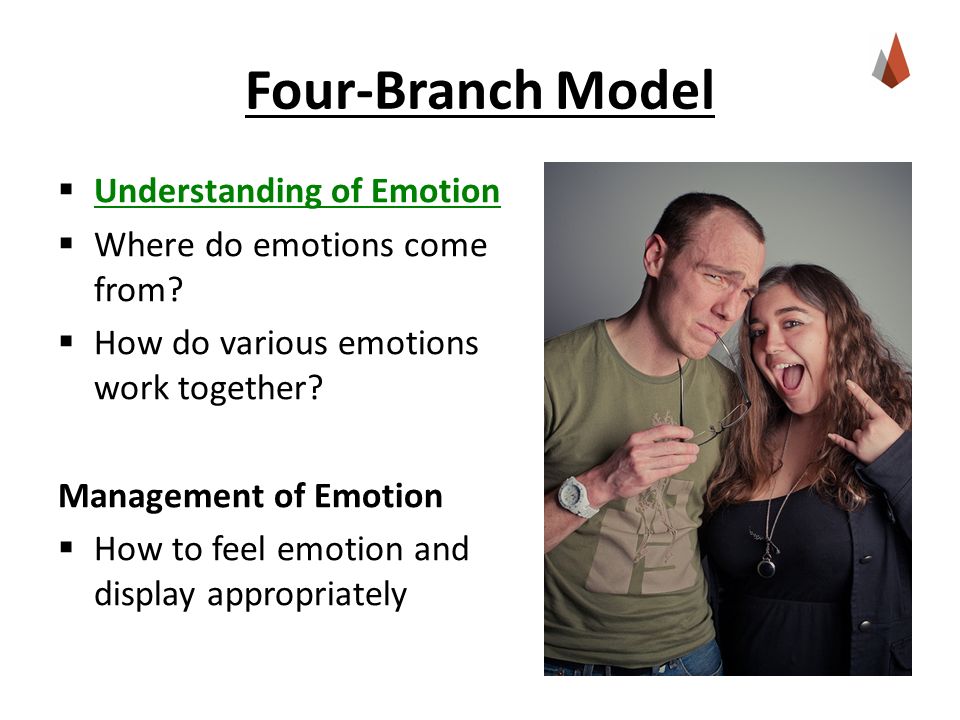 Four-Branch Model  Understanding of Emotion Understanding of Emotion  Where do emotions come from.