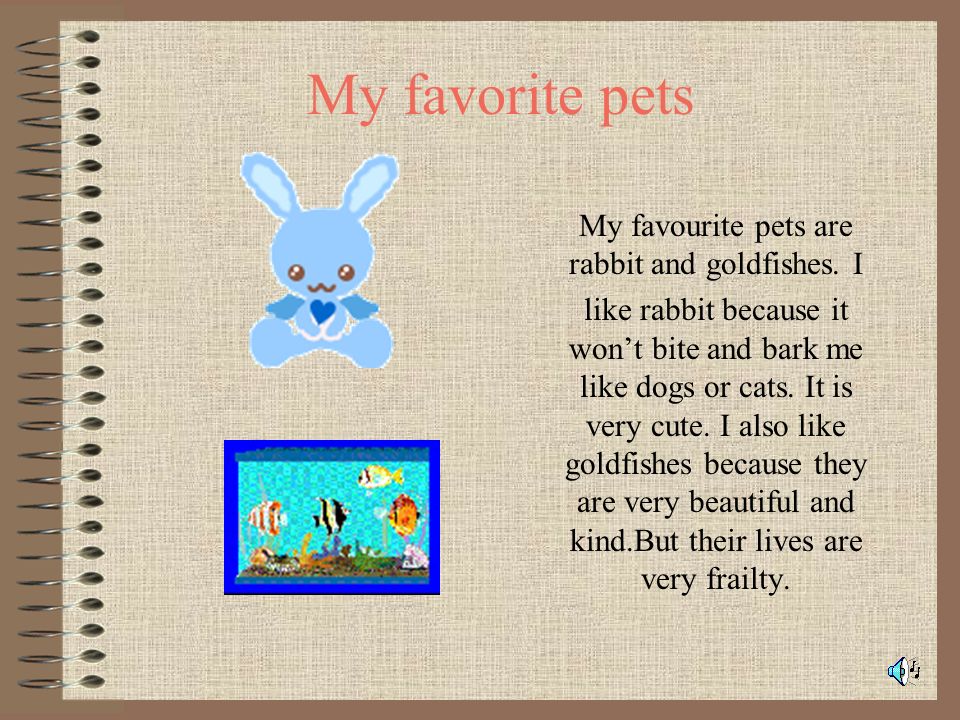 My pet 3 класс. Проект my favourite Pet. Проект my favourite animal. My favourite Pet Rabbit 3 класс. Проект по английскому my Pet.