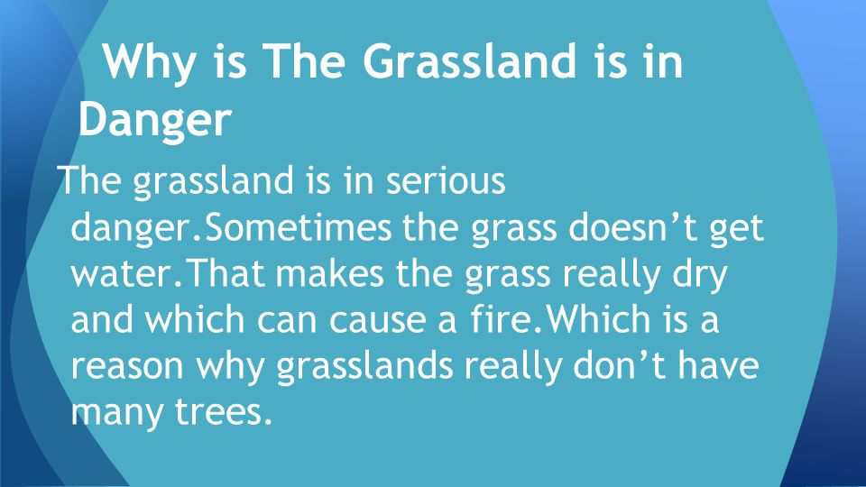 Why is The Grassland is in Danger The grassland is in serious danger.Sometimes the grass doesn’t get water.That makes the grass really dry and which can cause a fire.Which is a reason why grasslands really don’t have many trees.