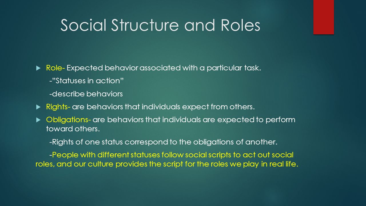 social structure status and role