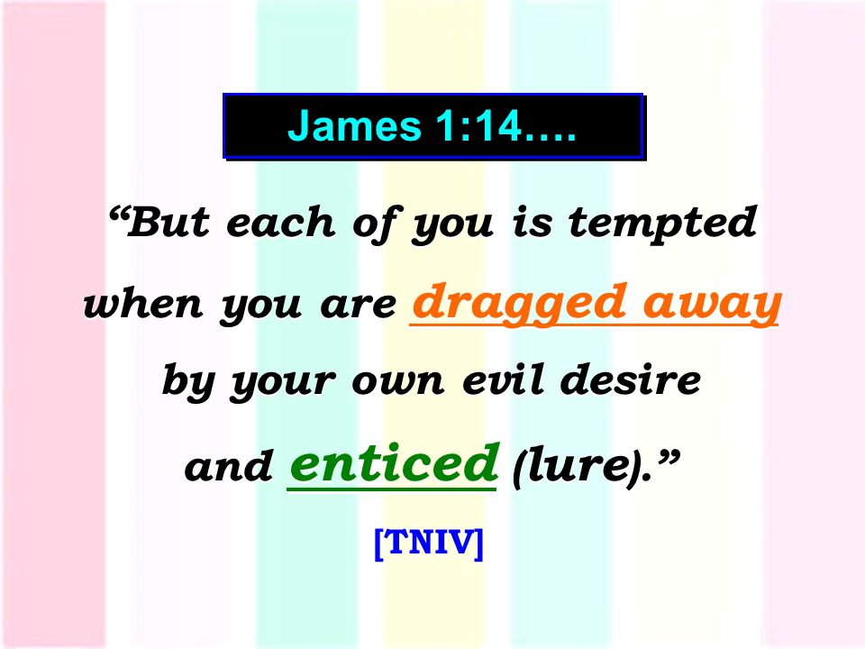 But each of you is tempted when you are dragged away by your own evil desire and enticed ( lure ). [TNIV] But each of you is tempted when you are dragged away by your own evil desire and enticed ( lure ). [TNIV] James 1:14….