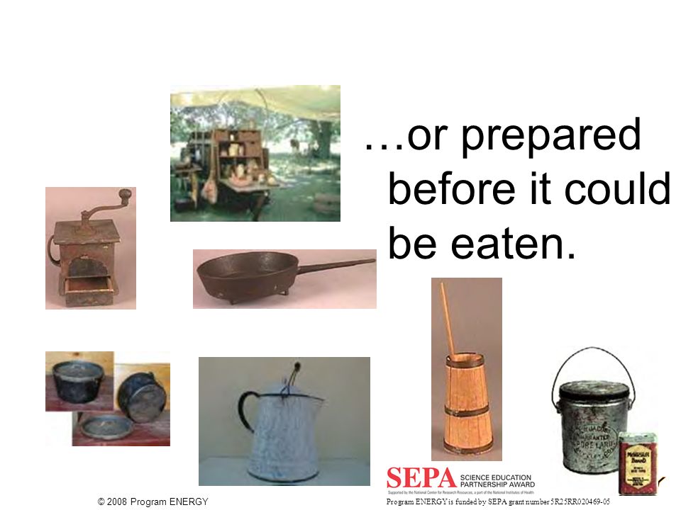© 2008 Program ENERGY Program ENERGY is funded by SEPA grant number 5R25RR …or prepared before it could be eaten.