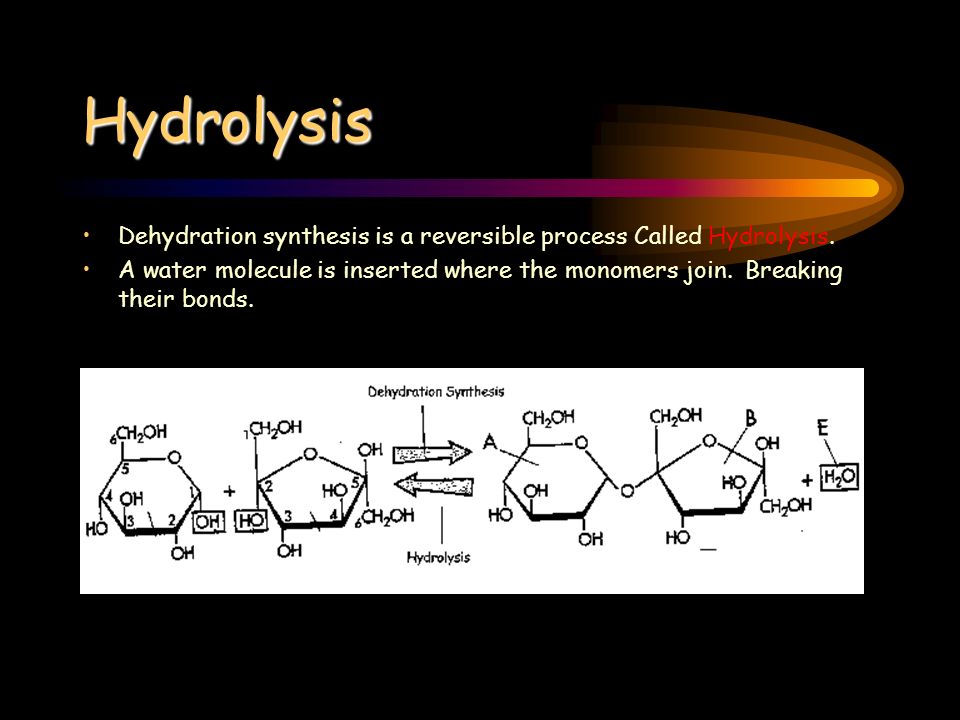 Hydrolysis Dehydration synthesis is a reversible process Called Hydrolysis.