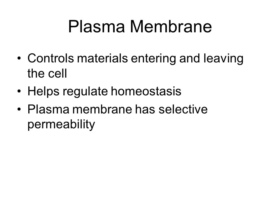 Plasma Membrane Controls materials entering and leaving the cell Helps regulate homeostasis Plasma membrane has selective permeability