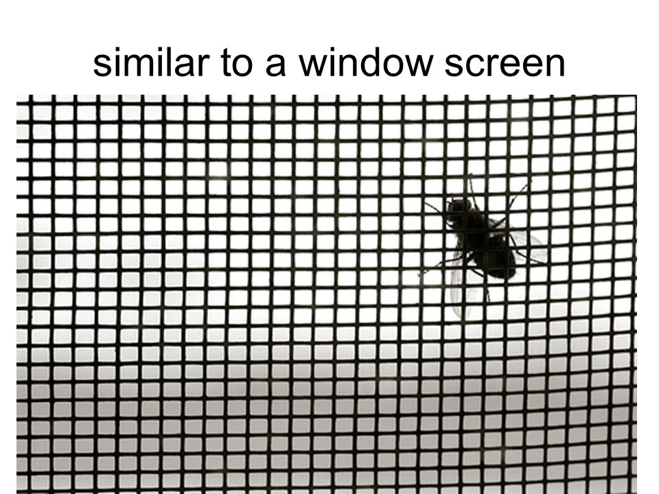 similar to a window screen