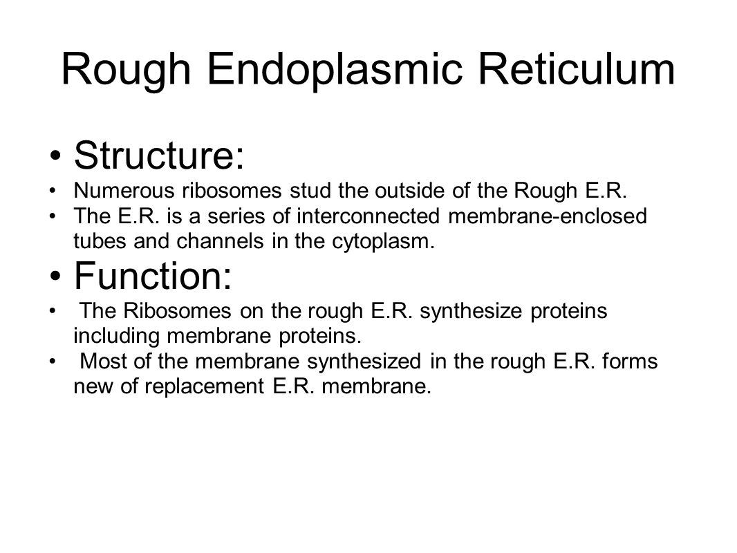 cell organelles structure and function example mr boandl rough er function