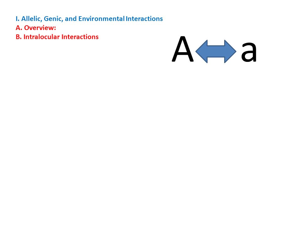 I. Allelic, Genic, and Environmental Interactions A. Overview: B. Intralocular Interactions A a