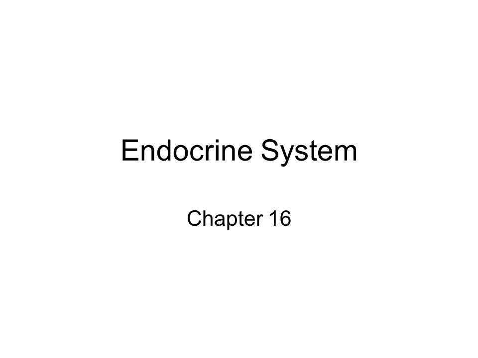 Endocrine System Chapter 16