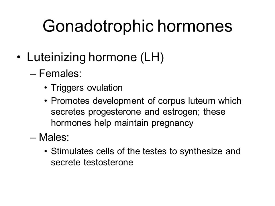 Gonadotrophic hormones Luteinizing hormone (LH) –Females: Triggers ovulation Promotes development of corpus luteum which secretes progesterone and estrogen; these hormones help maintain pregnancy –Males: Stimulates cells of the testes to synthesize and secrete testosterone