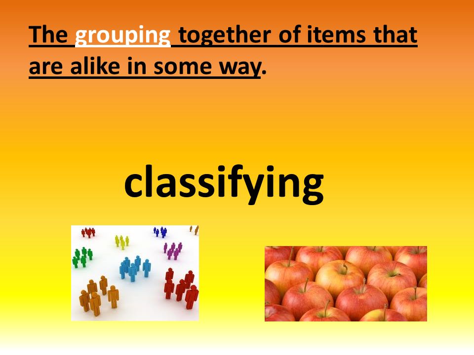 The grouping together of items that are alike in some way. classifying