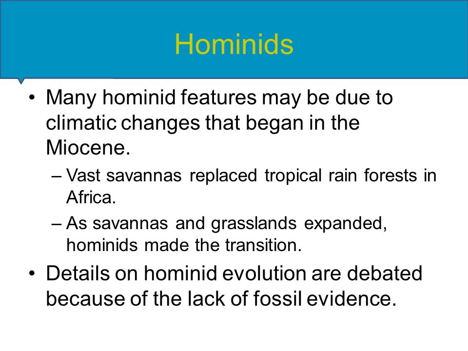 Hominids Many hominid features may be due to climatic changes that began in the Miocene.