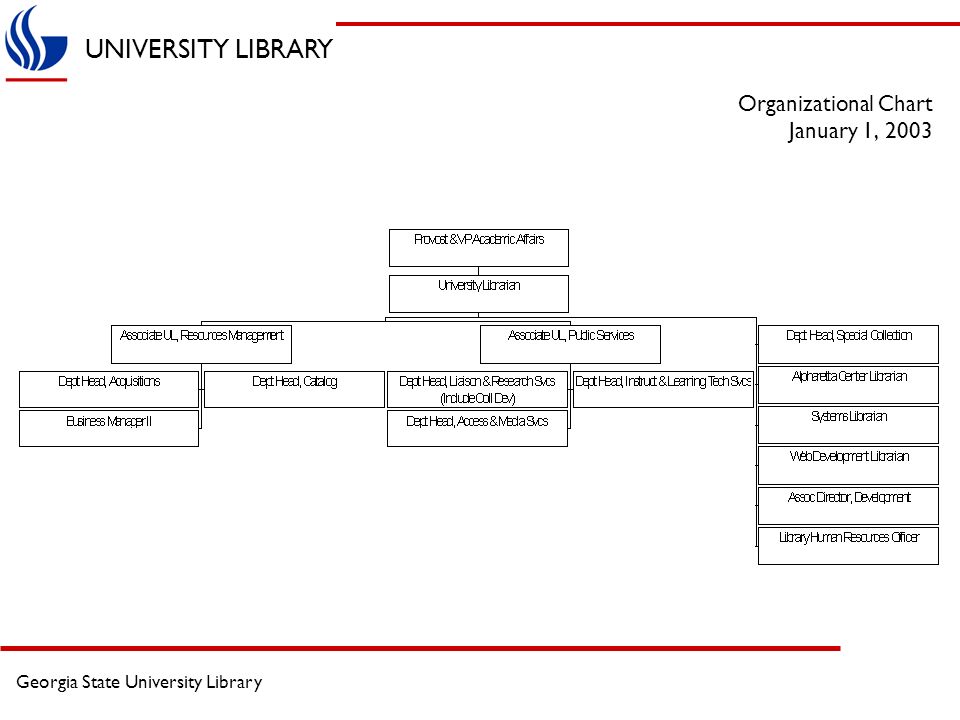 Georgia State University Organizational Chart
