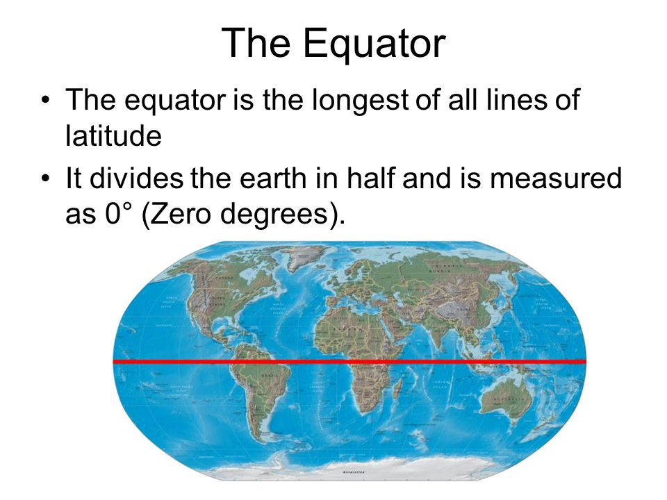 The Equator The equator is the longest of all lines of latitude It divides the earth in half and is measured as 0° (Zero degrees).