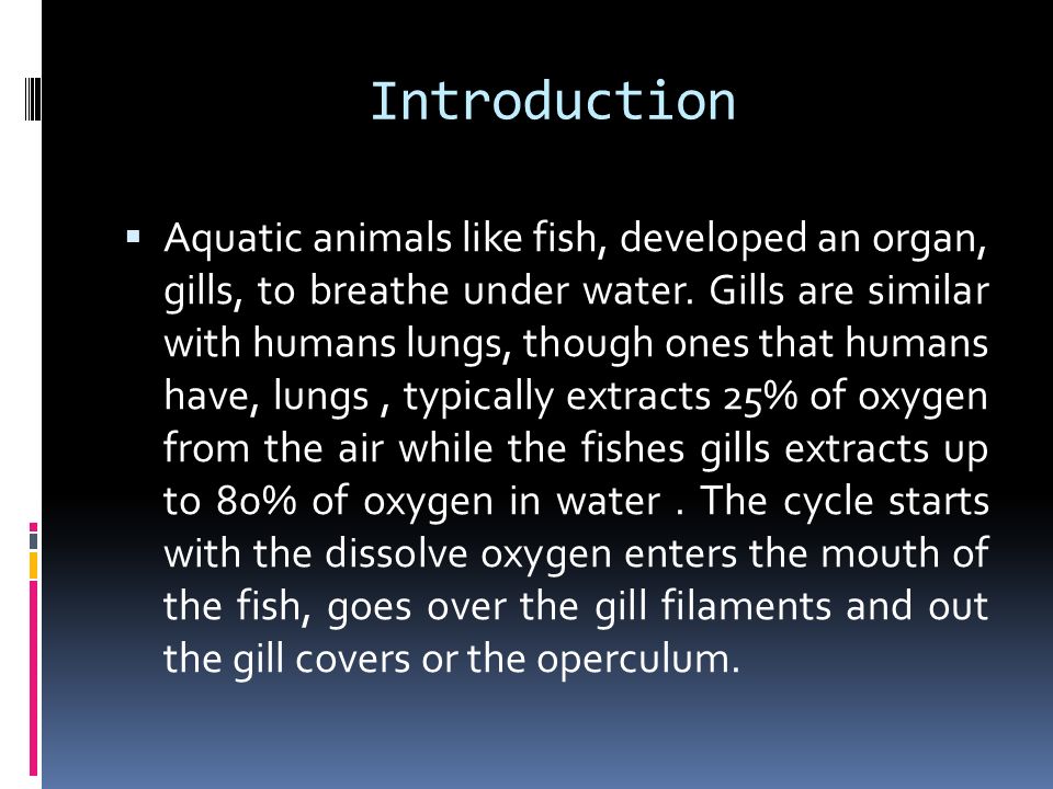 Introduction  Aquatic animals like fish, developed an organ, gills, to  breathe under water. Gills are similar with humans lungs, though ones that  humans. - ppt download