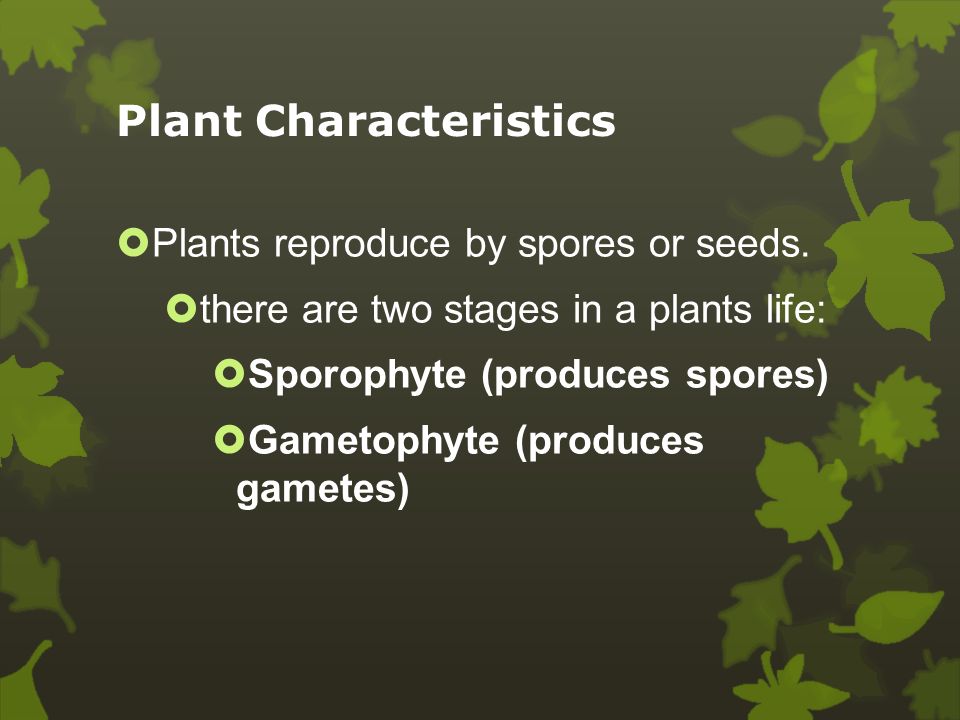 Chapter 3 Plant Growth And Reproduction 5 Th Grade Science Teacher Imarlys Cajigas Big Idea Plants Have A Variety Of Structures To Help Them Carry Out Ppt Download