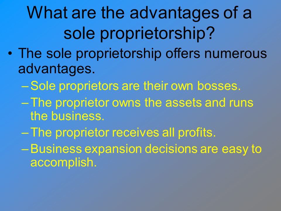 What are the advantages of a sole proprietorship.