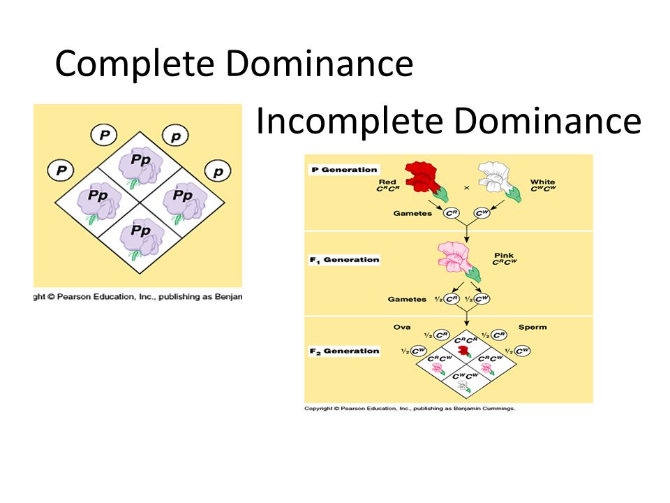 The biology of genetic dominance