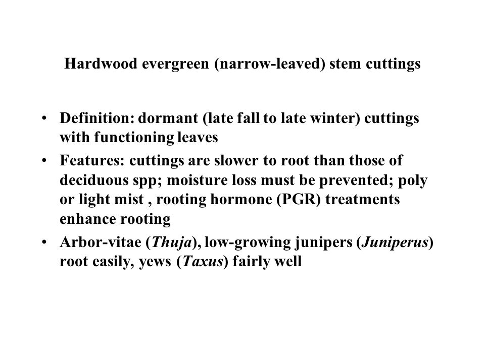Types Of Cuttings Stem Cuttings Hardwood Deciduous Narrow Leaved Evergreen Semi Hardwood Softwood Herbaceous Leaf Cuttings Leaf Bud Cuttings Single Eye Ppt Download