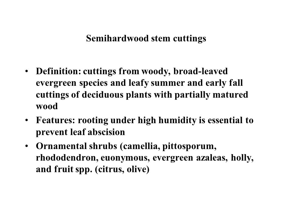 Types Of Cuttings Stem Cuttings Hardwood Deciduous Narrow Leaved Evergreen Semi Hardwood Softwood Herbaceous Leaf Cuttings Leaf Bud Cuttings Single Eye Ppt Download