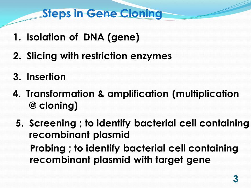 1 objectives describe the steps in gene cloning by using plasmid as gene cloning