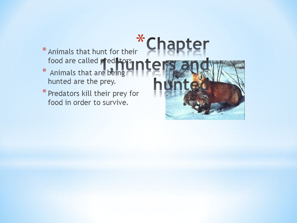 Animals depend upon each other to survive * Three types of predator-prey  relationships * Hunters and hunted * Relationships where both species  benefit. - ppt download